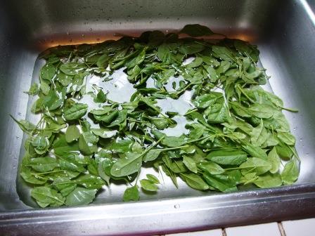 Spinach! Iron-rich leafy green!